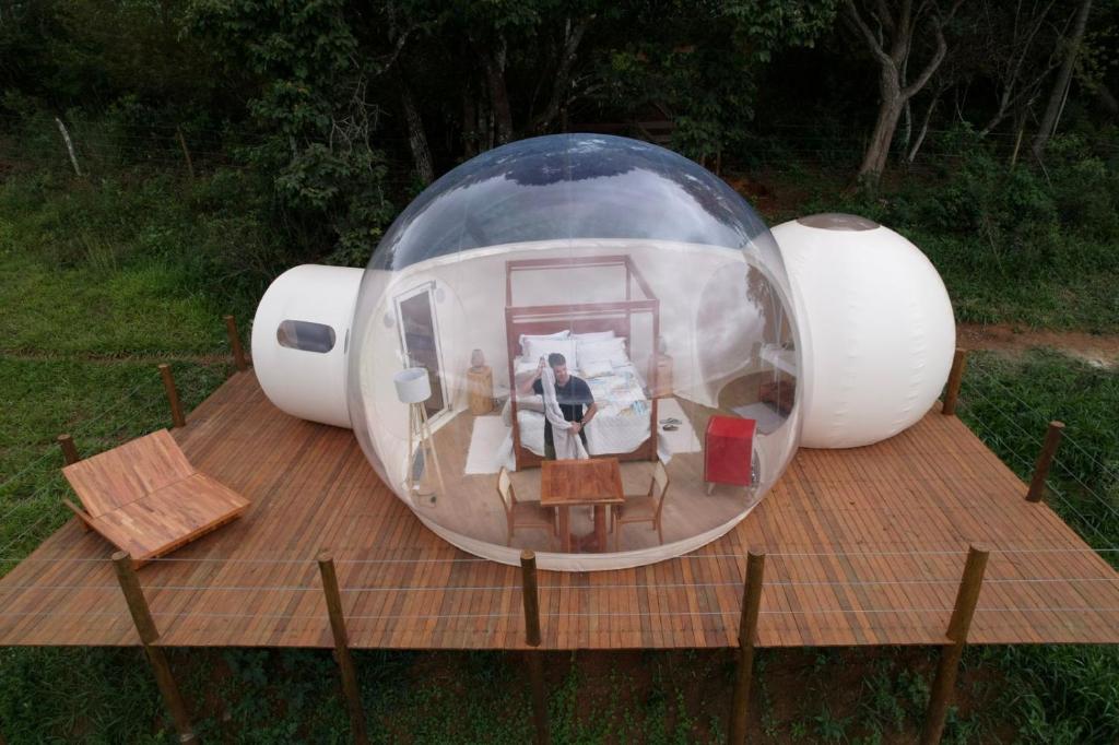 Bubble Pingo do Mula photo 3