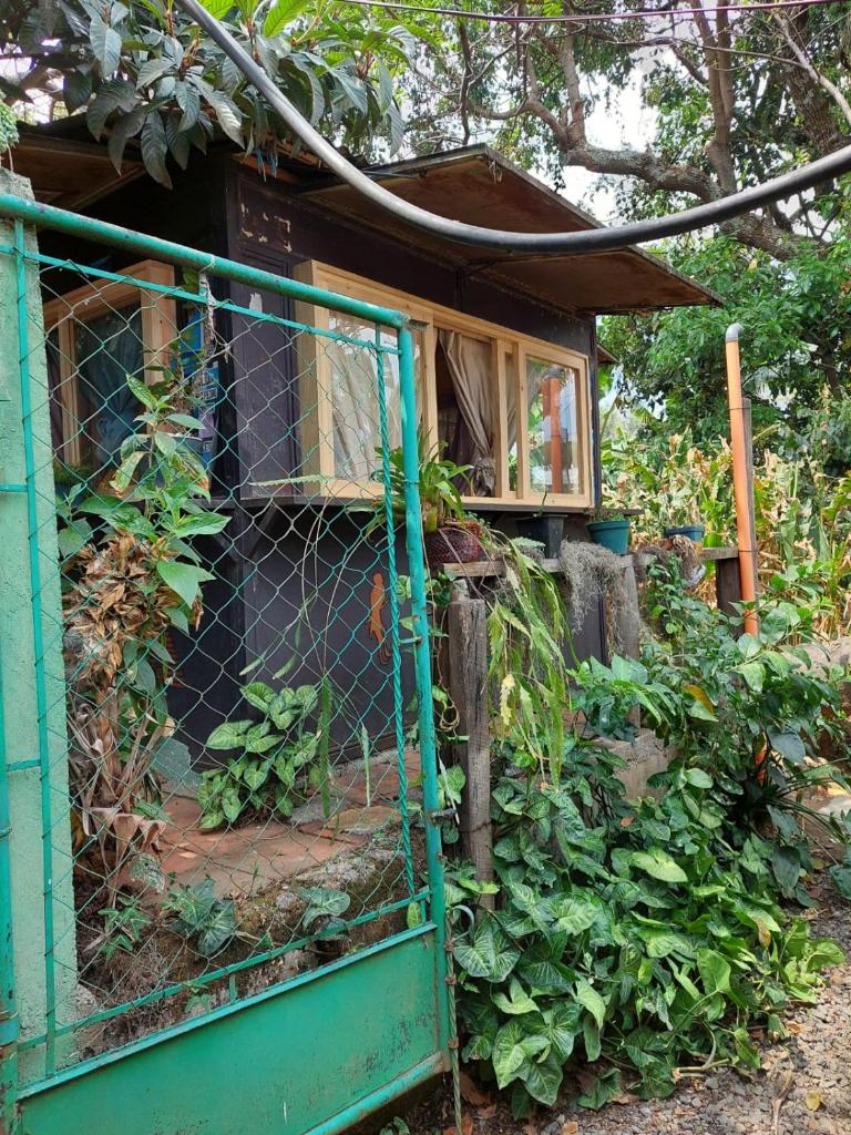 Posada Maná photo 3