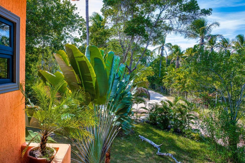 Villa Beijaflor photo 4