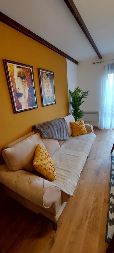 Yellow apartman photo 2