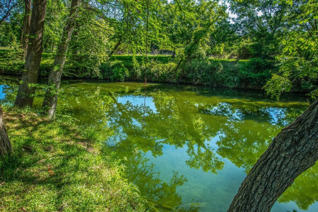 Clear River Cabin on Medina photo 4
