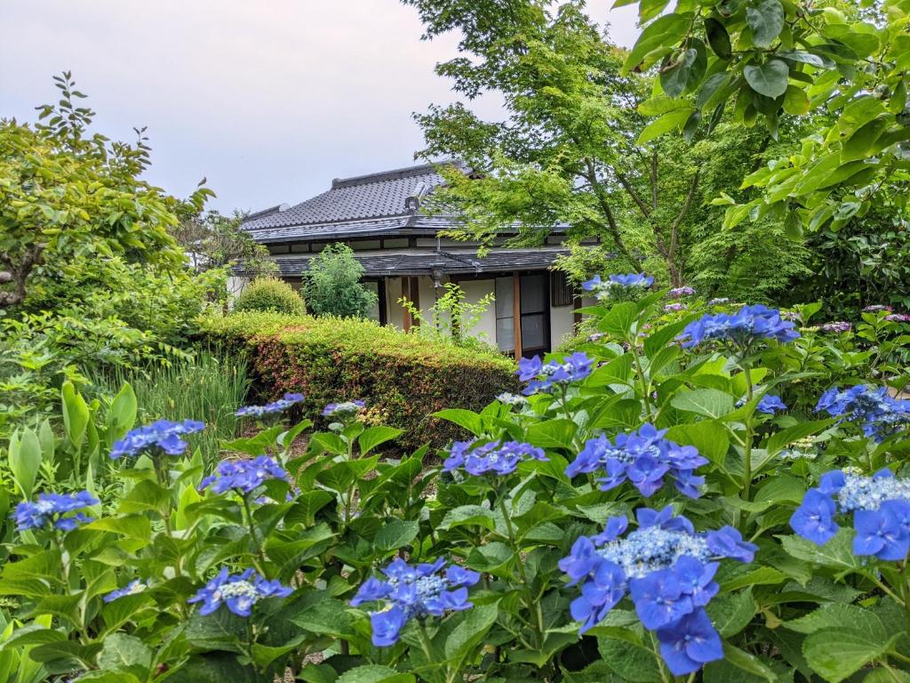 満天の庭 Manten-no-niwa photo 2