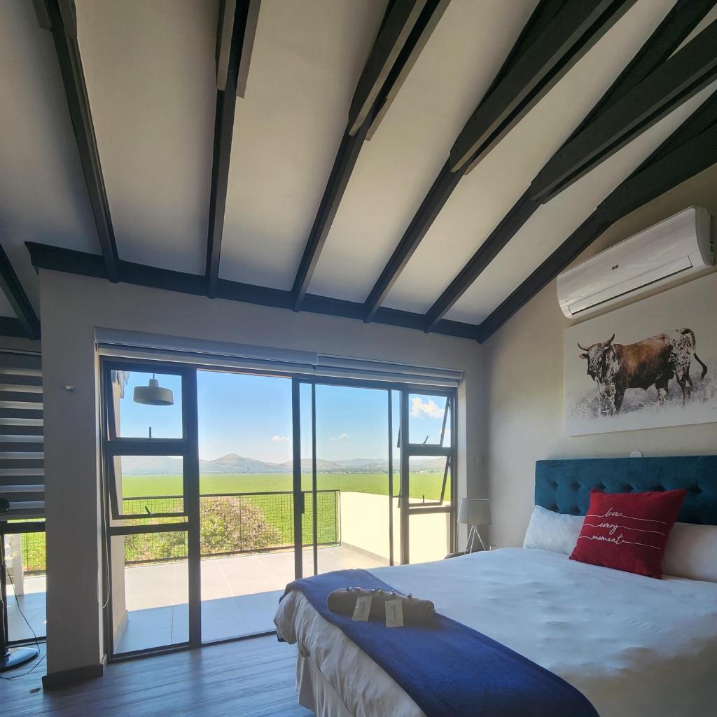 Kosmos, Hartbeespoort photo 4