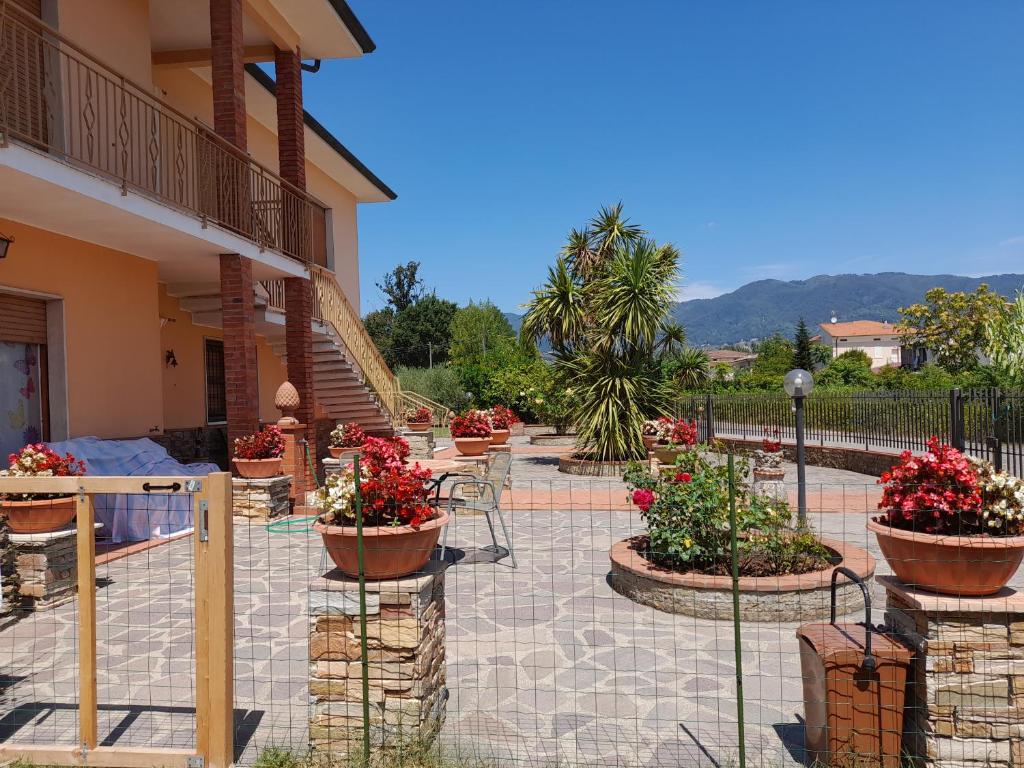 CASA CAMELIA photo 3