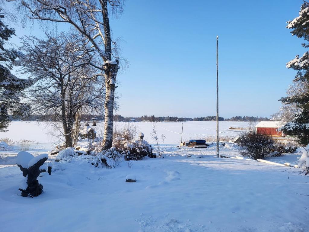 3 Bedroom Cottage with Sauna by the Sea photo 1