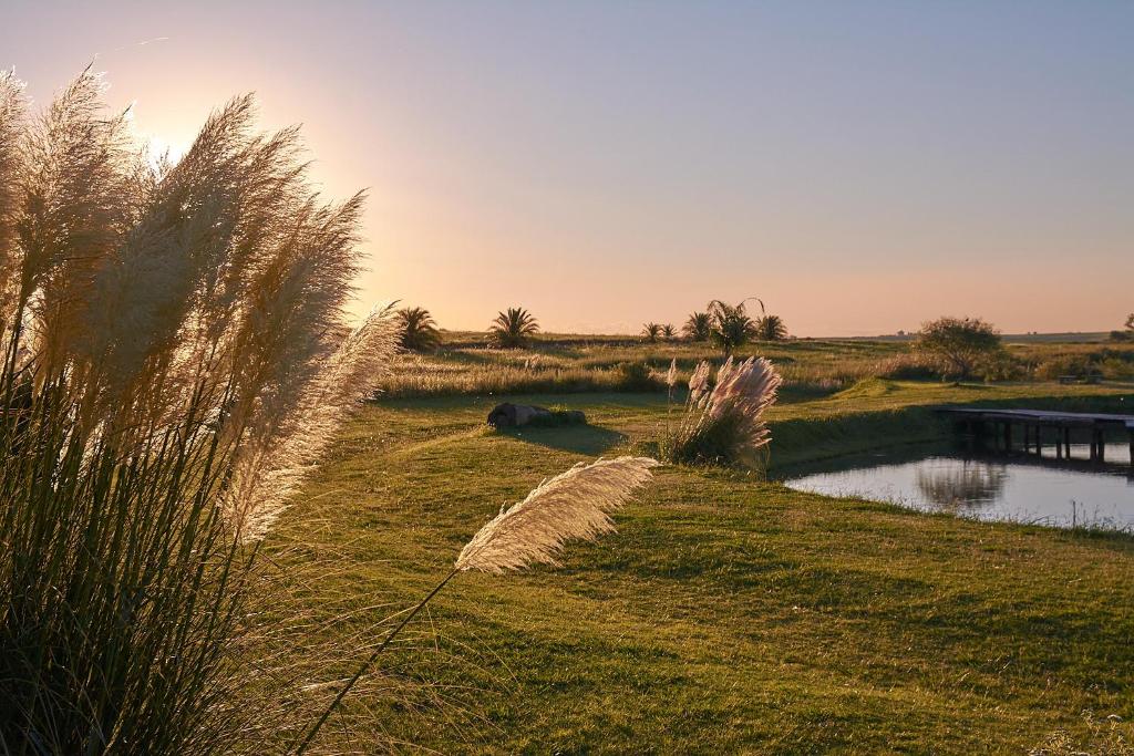 Campo & Golf photo 2