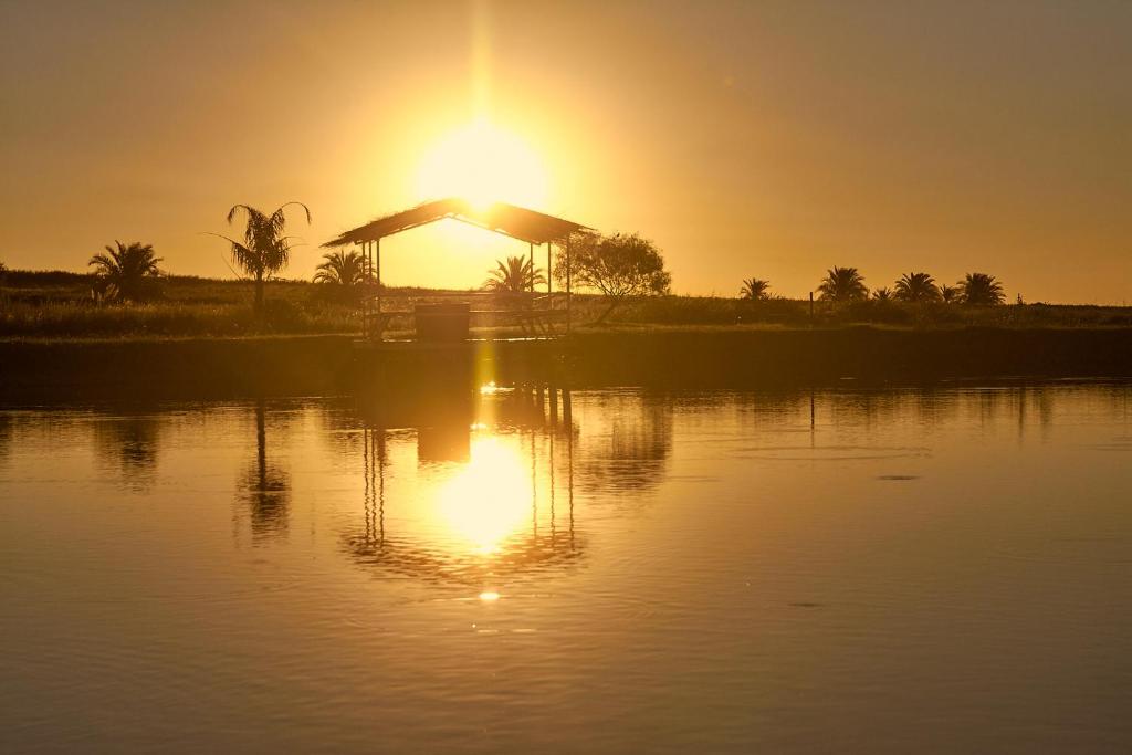 Campo & Golf photo 3