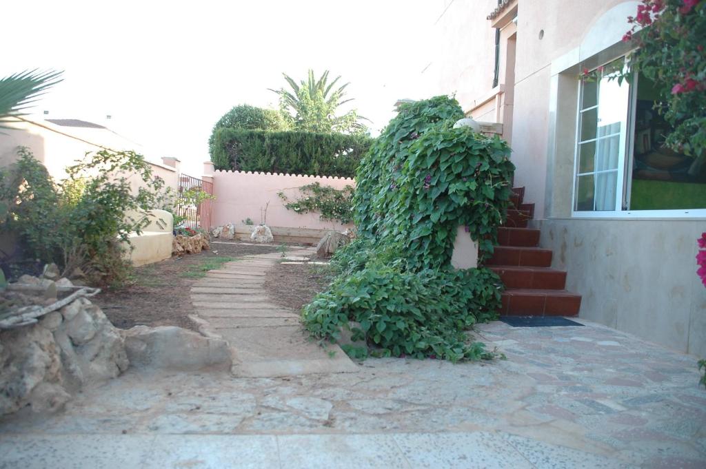 Hostal Paris Ciutadella photo 4