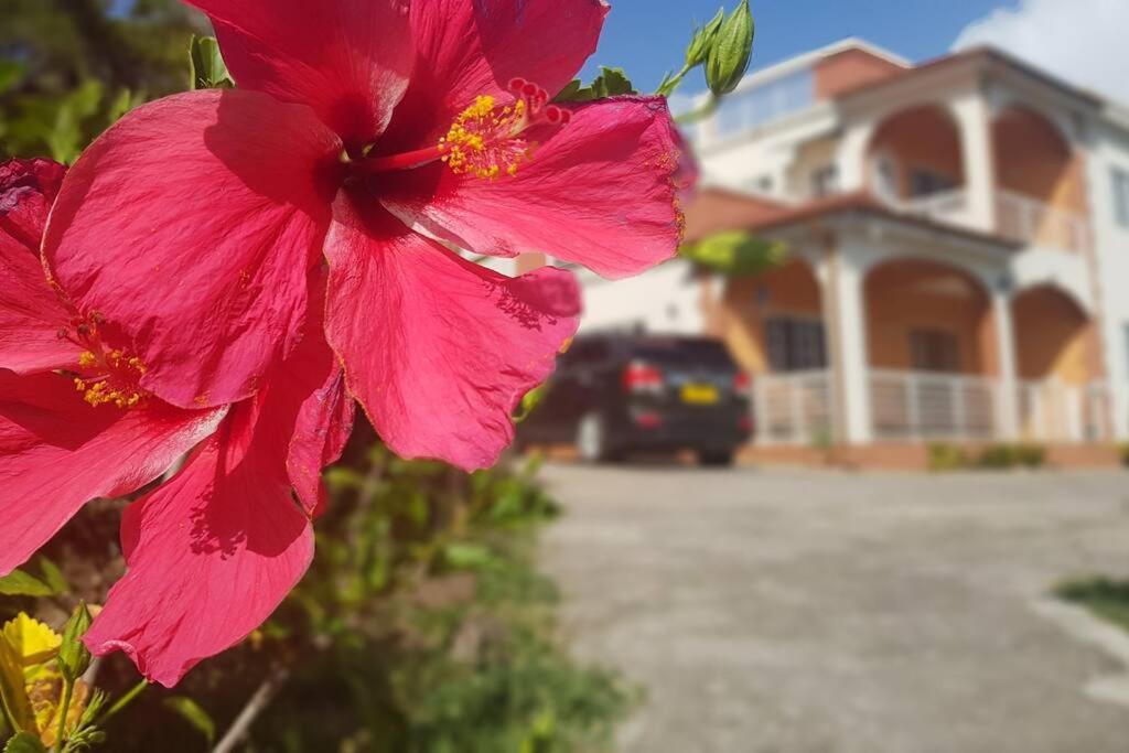 St. George's Holiday Studio Vacation of a lifetime photo 4