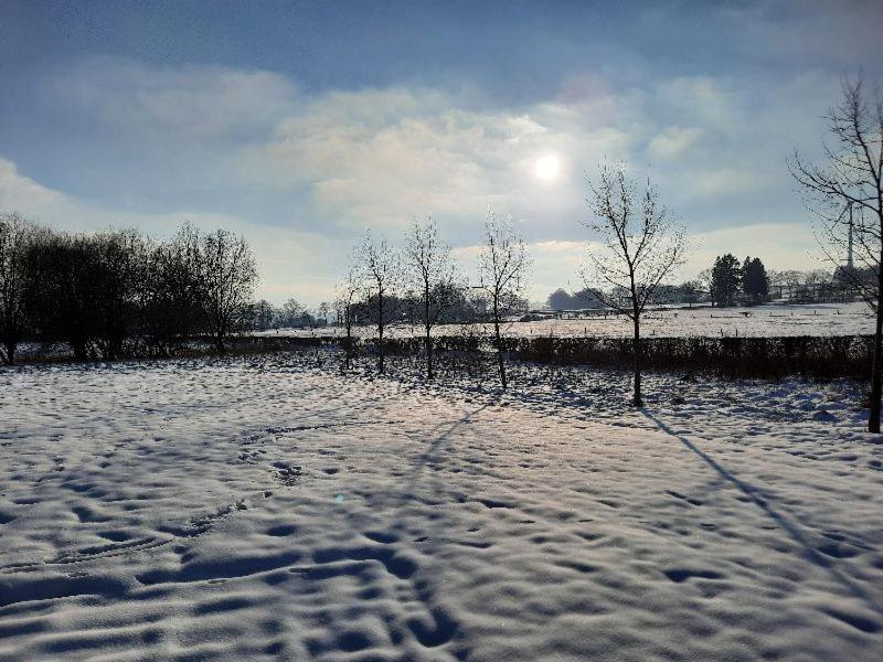Le Grand Ravel photo 2