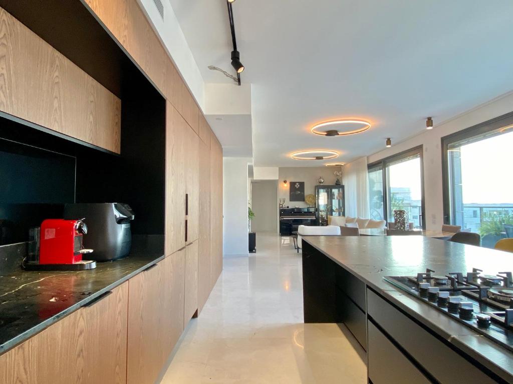 Tlv sea view penthouse photo 4