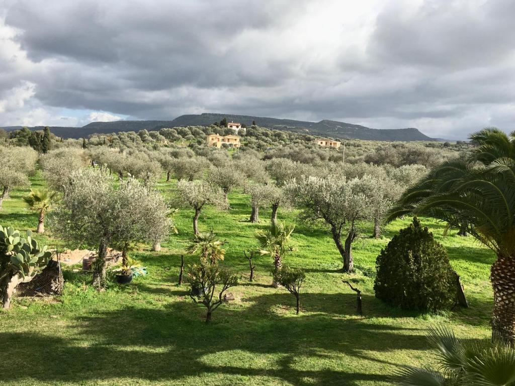 Villa Culla di Jana photo 4