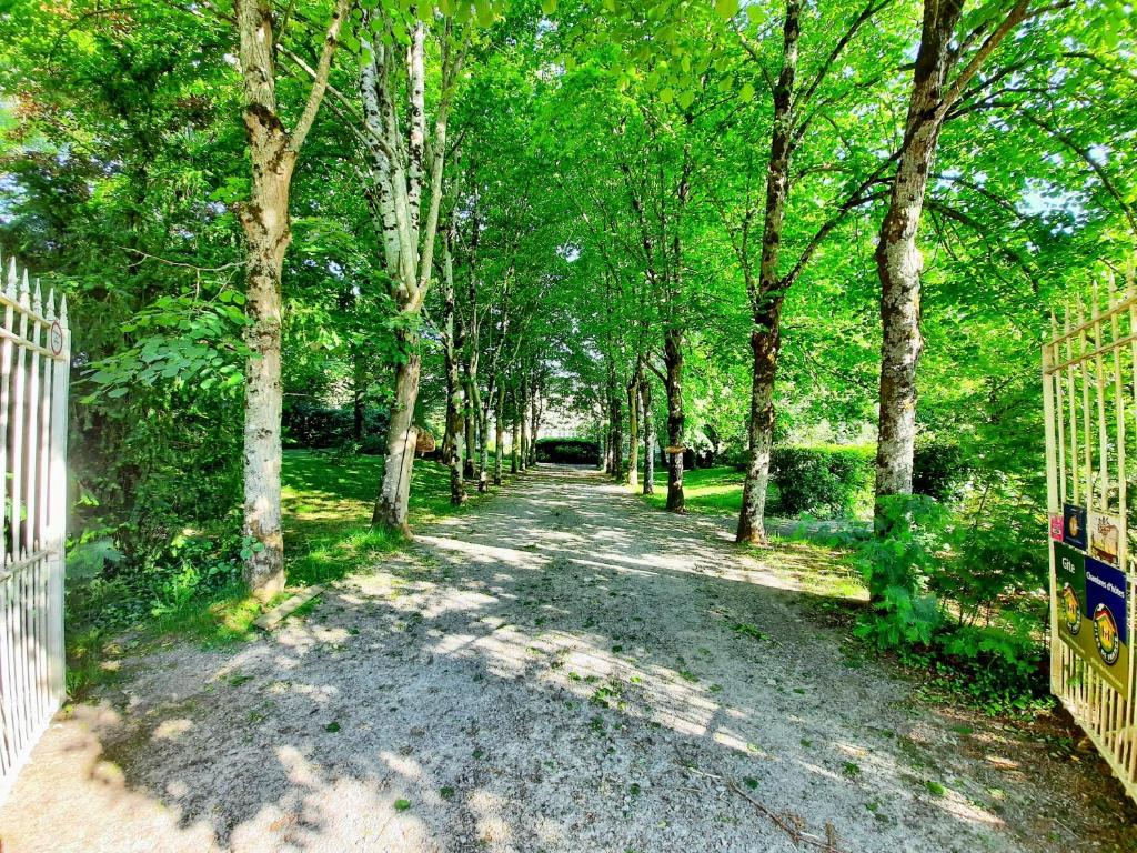 Le Gîte du Petit Plessis photo 3