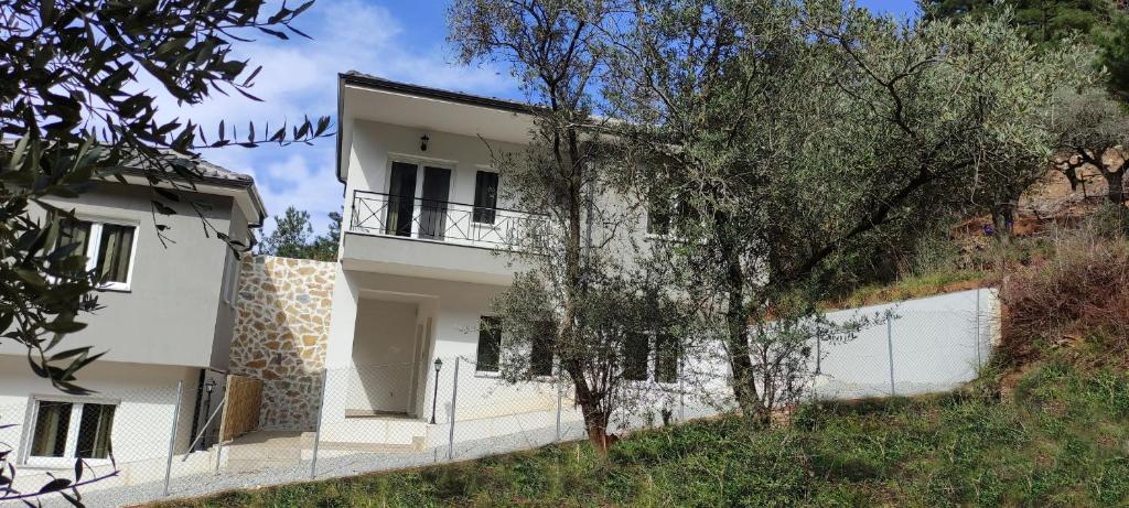 Evergreen Thassos photo 3