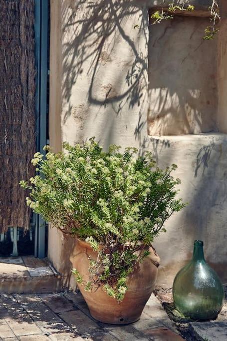 Sitges Hill Retreats-Masia Nur 22 bedrooms divided over 9 houses for max 44 guests photo 4