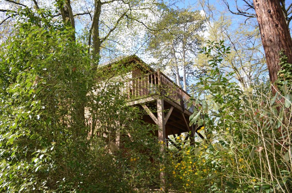 Manoir Du Parc (Adults only) photo 2