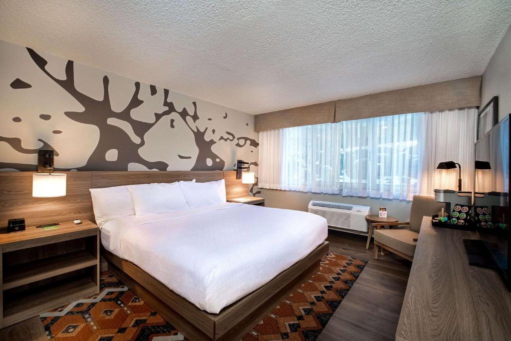 Holiday Inn Estes Park, an IHG Hotel photo 4