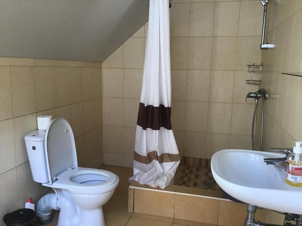 Villa Carpathian Aura photo 1