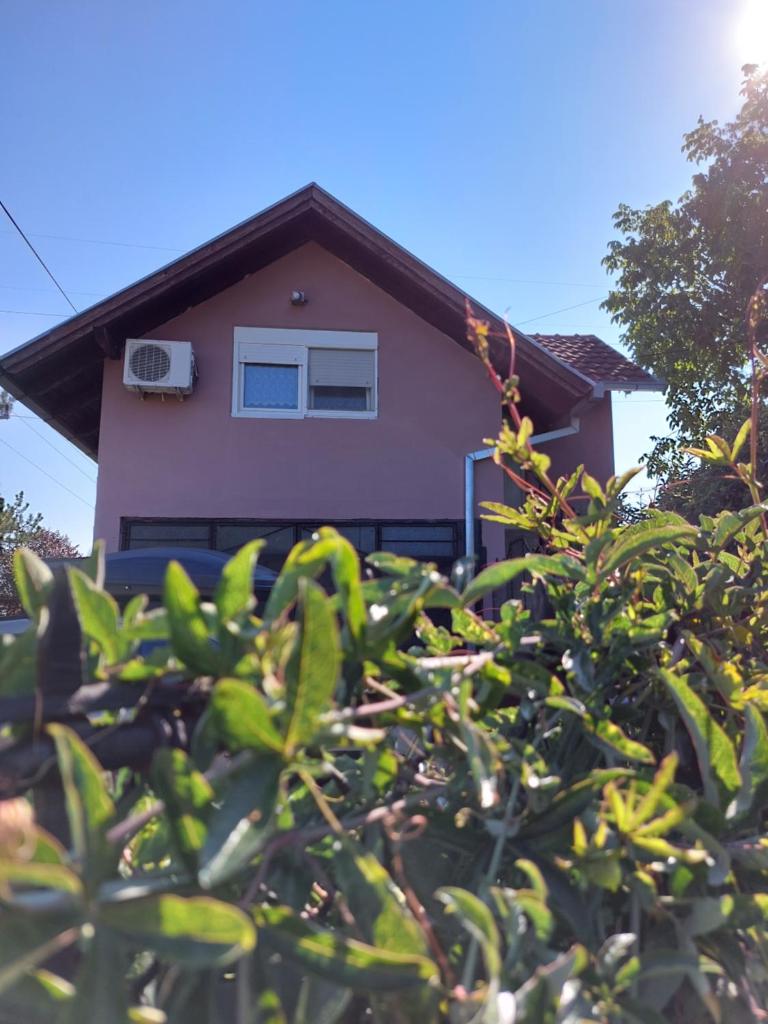 Apartman 1 - Banoštor photo 2