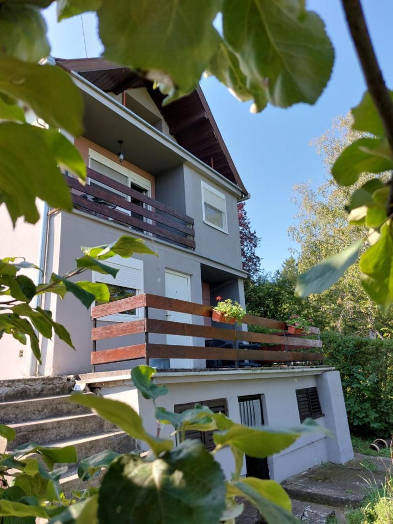 OLOR Apartman 2 - Banoštor photo 2