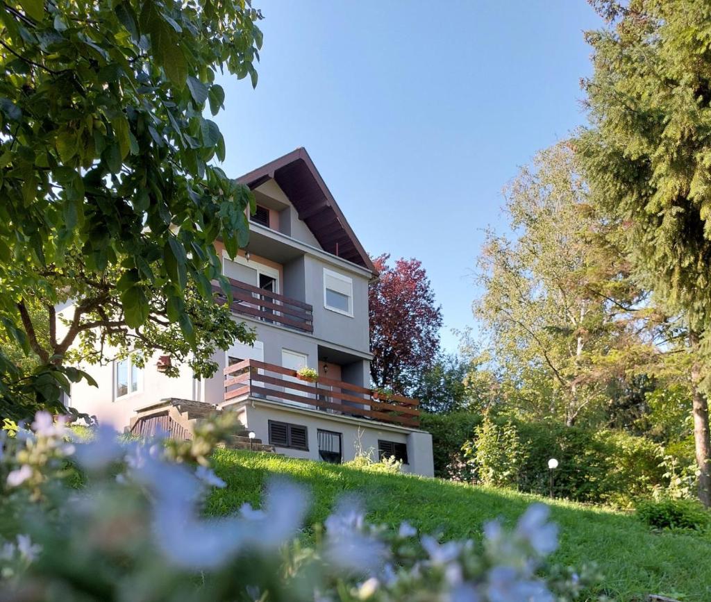 OLOR Apartman 2 - Banoštor photo 1