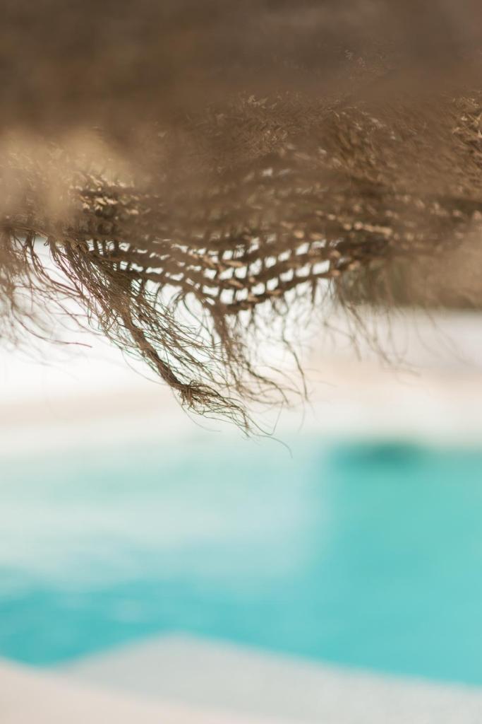 The Olive Boutique Suites & Spa photo 4