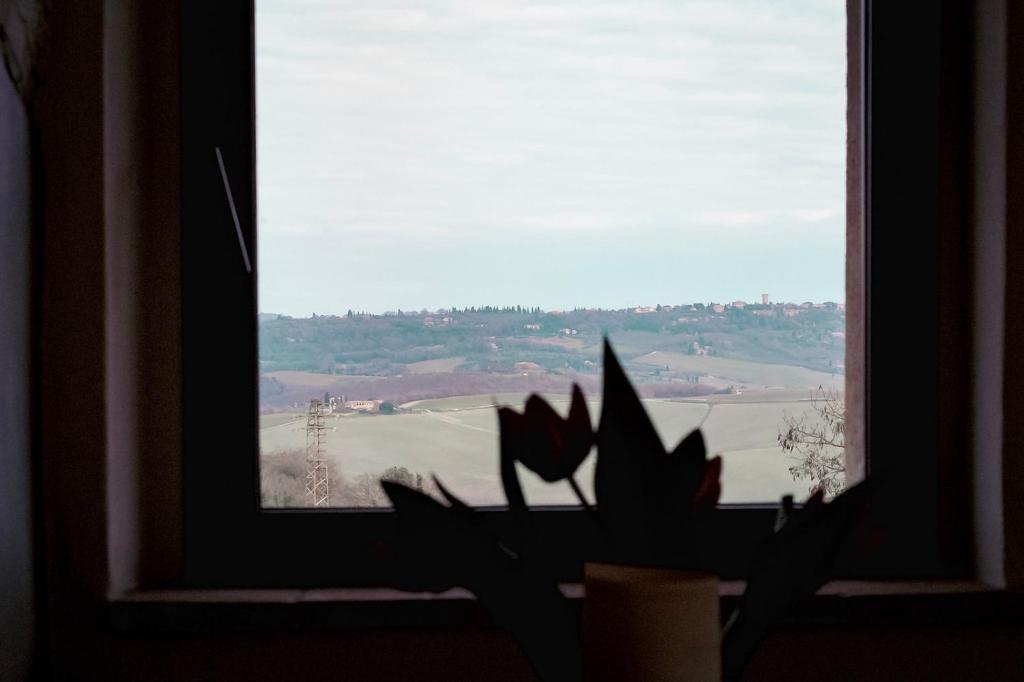 LA TULIPA photo 2