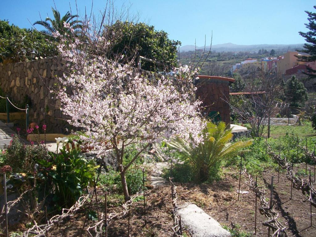Villa Caya photo 4