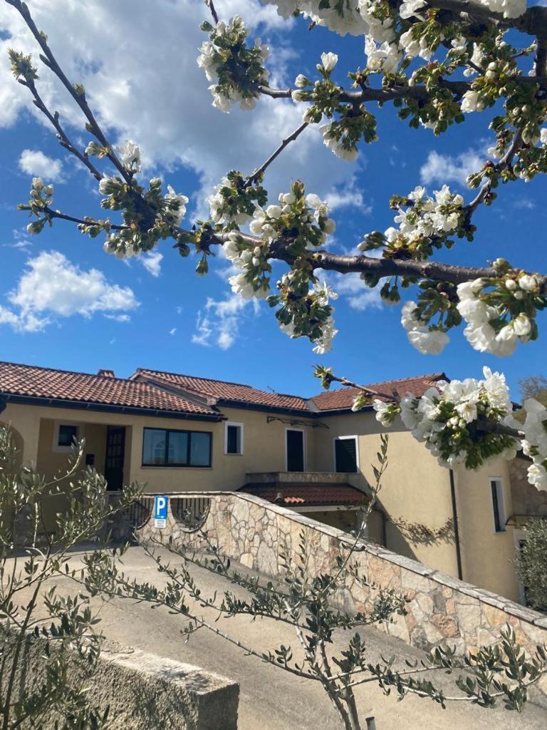 Villa Ignoto photo 1