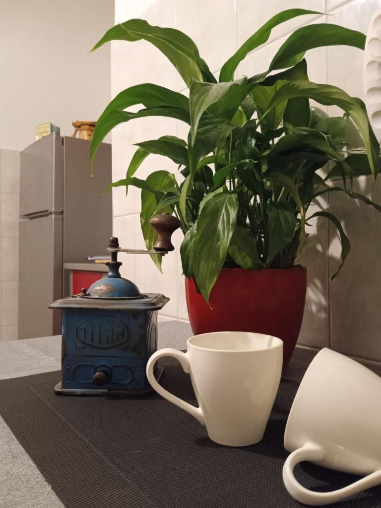 Apartman Luna Rijeka photo 3