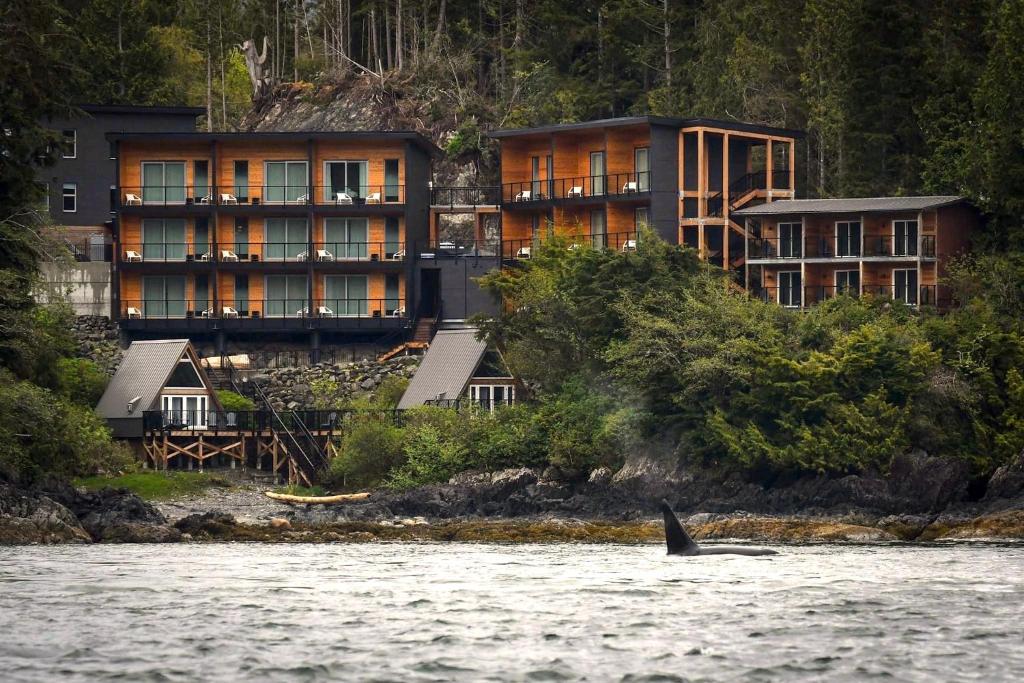 Duffin Cove Resort photo 1