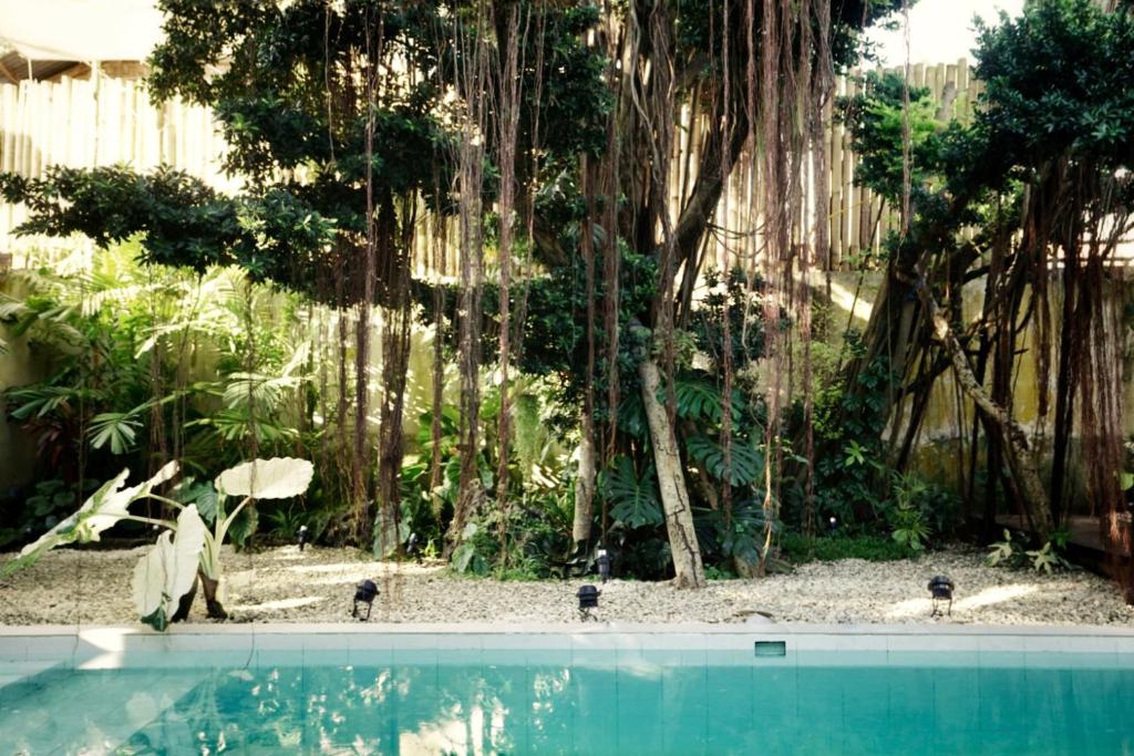 Banyan Villa Panglao with private pool photo 1