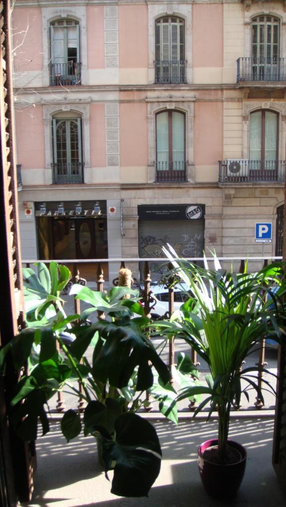 Soul Backpackers Barcelona Room Type - Bed in 6-Bed Female Dormitory Room