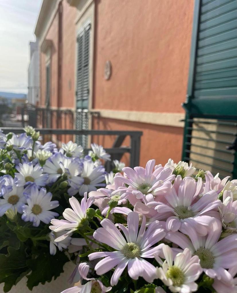 La Marinella photo 3