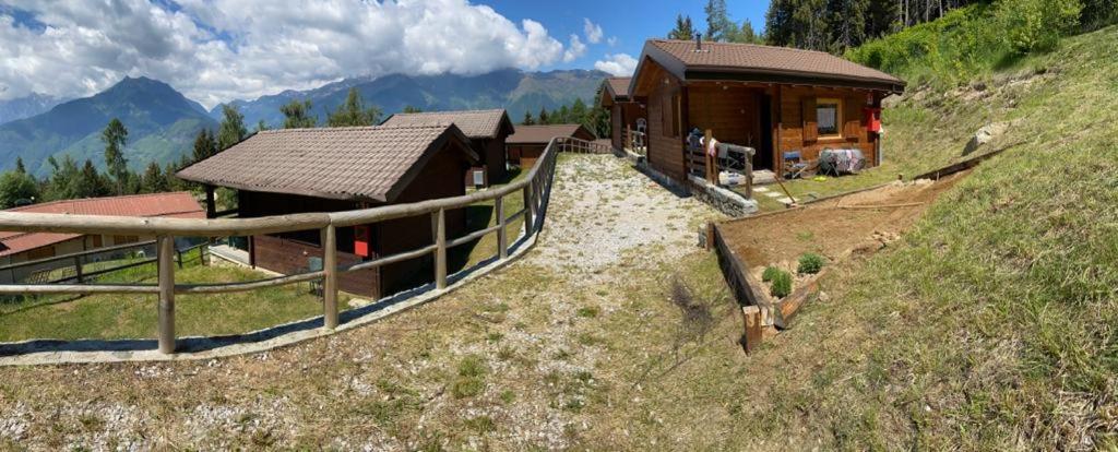 Camping & Chalet Pian della Regina photo 4