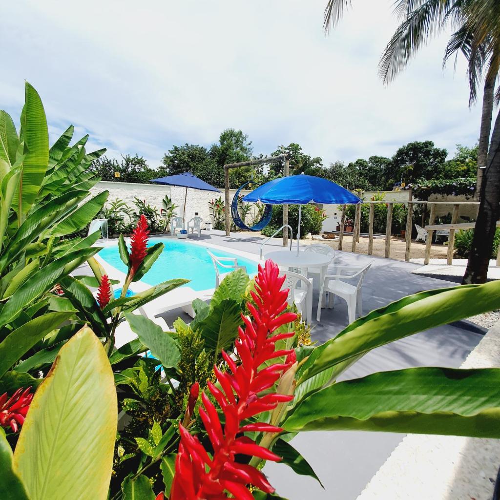 CASA B photo 2