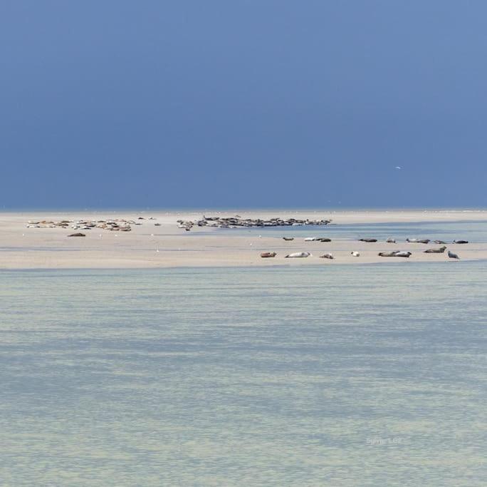 vue mer photo 2
