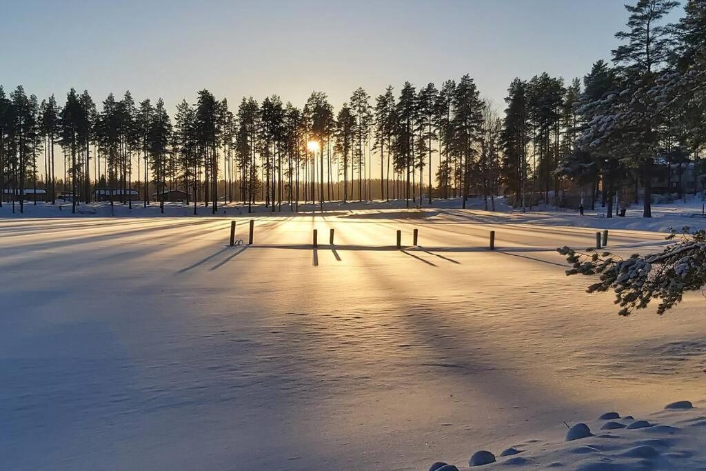 Villa Mäntysaari luonnonrauhaa kaupungin lähellä. photo 1