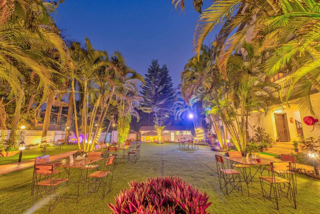 The Boho, Vagator Beach Goa Near Thalassa photo 1