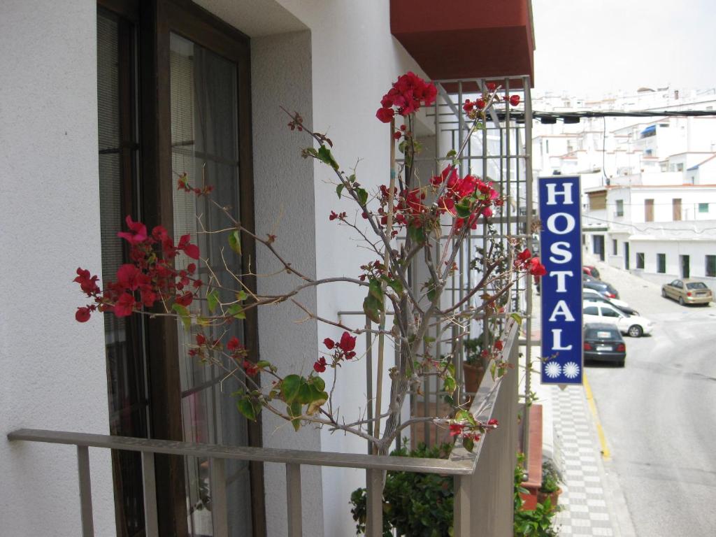 Hostal Palomares photo 1