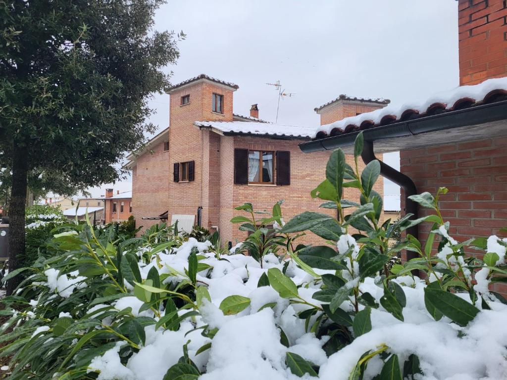 Palazzetto del Pittore photo 4