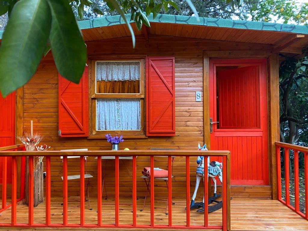 Gayb-i Bungalows by Naturelife - Free Access to Beach & Naturelife Spa photo 2