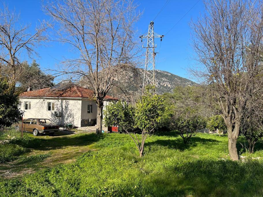 İztuzu plajına 3km uzaklıkta,sevimli, sicak müstakil köy evi photo 4