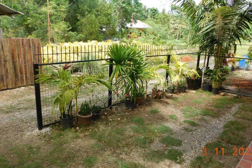 Elvie's Cottages Private Studios 1 photo 1