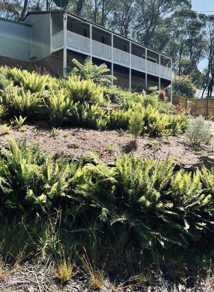Katoomba Hideaway - Blue Mountains Modern Getaway photo 4