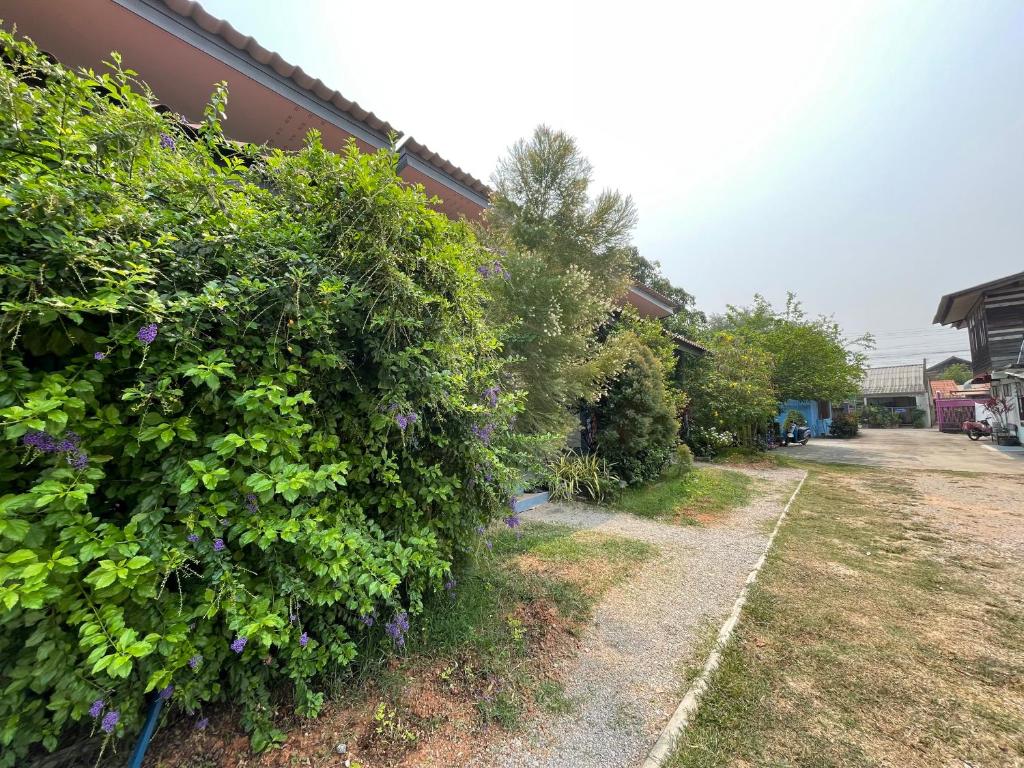Jeerat House จิรัสเฮ้าส์ photo 3