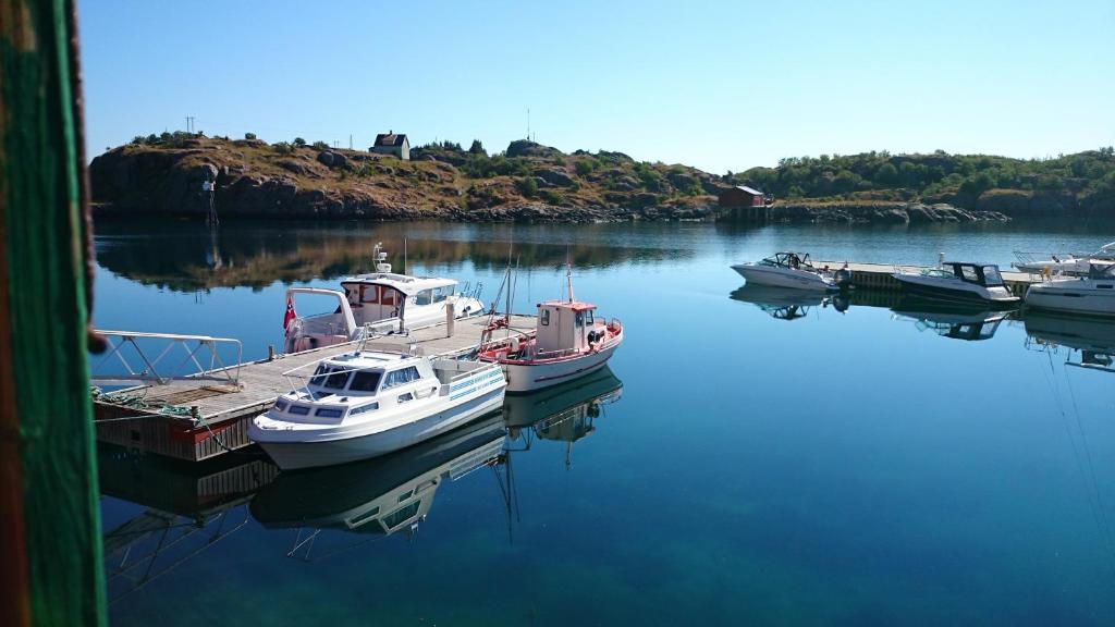 Burekka 17, Lofoten photo 3