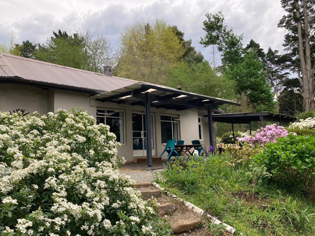 Bramber Cottage Hogsback, Living With Joy! photo 2