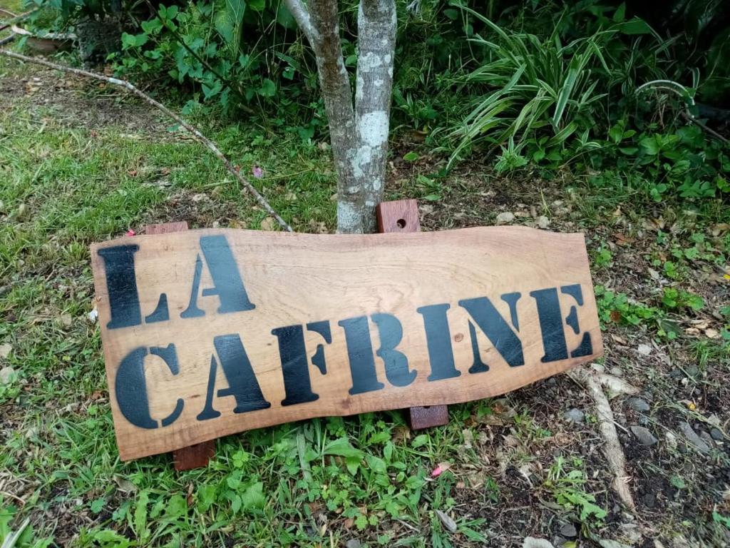 La CAFRINE photo 3