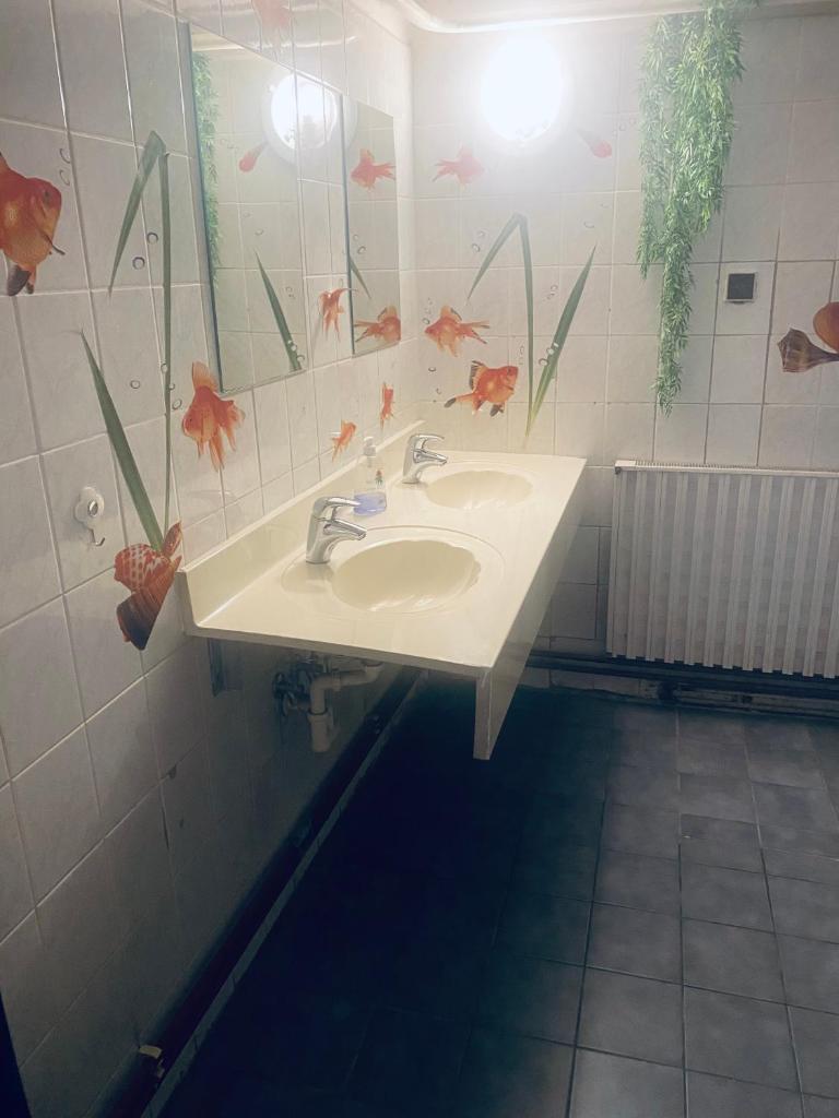 Apartmánový dům Velké Losiny photo 3